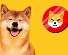 Эдвард Сноуден об инвестициях в Shiba Inu